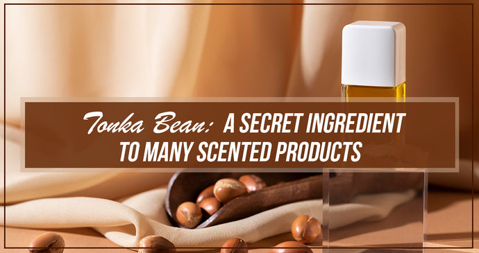 Tonka Bean: A Secret Ingredient to Many Scented Products